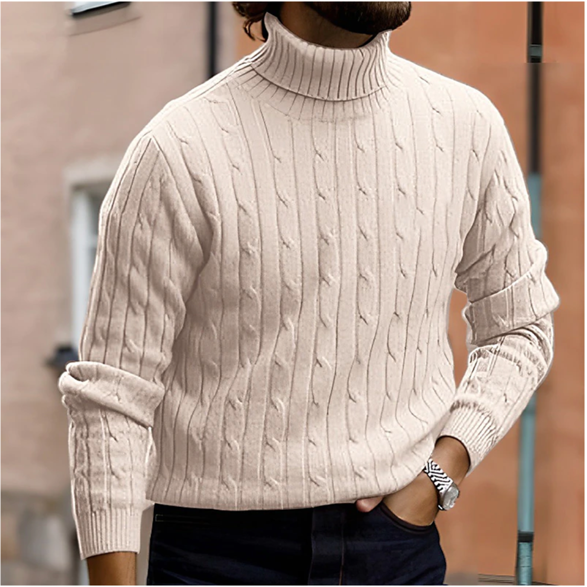 Men Sweater | Turtleneck cable knit with long sleeves
