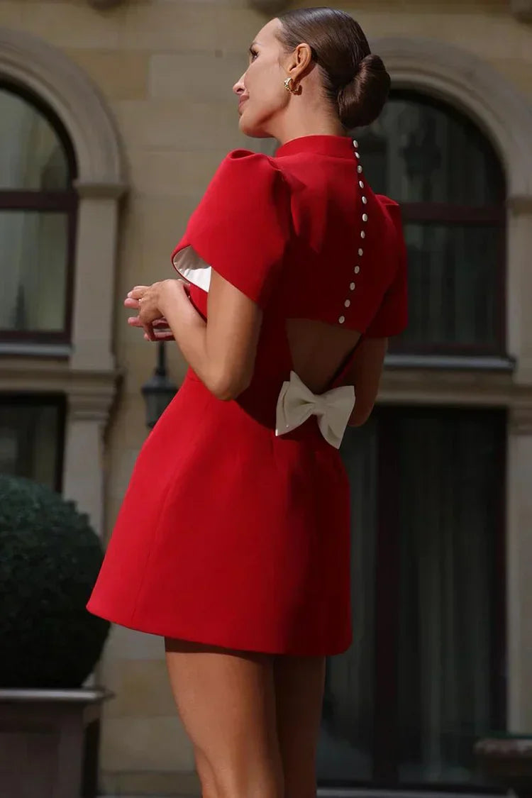 Women Mini Dress | Fitted bodice with puff sleeves and high neckline