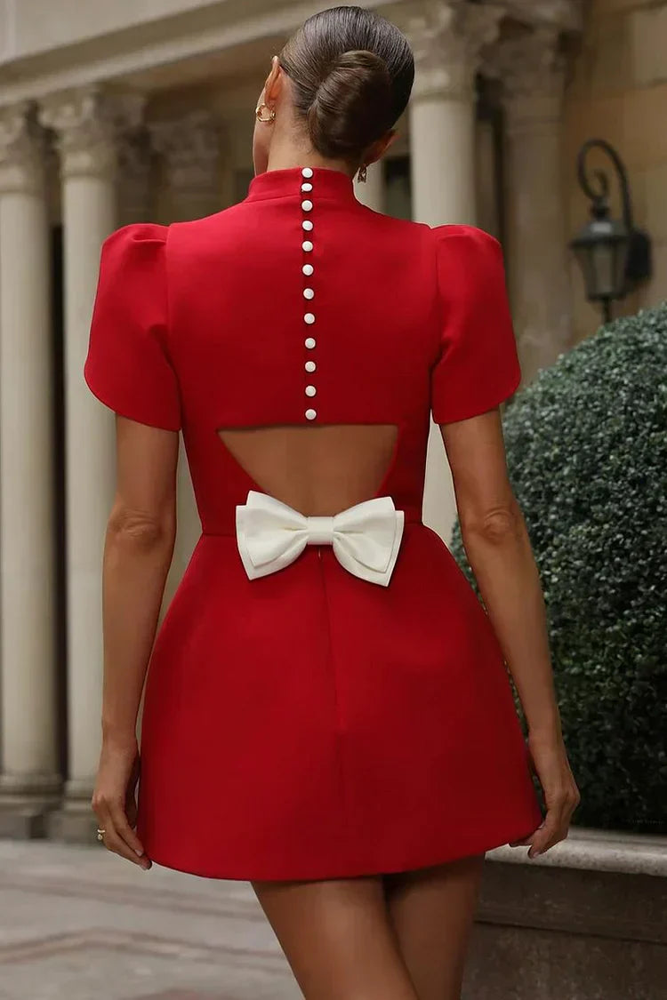 Women Mini Dress | Fitted bodice with puff sleeves and high neckline