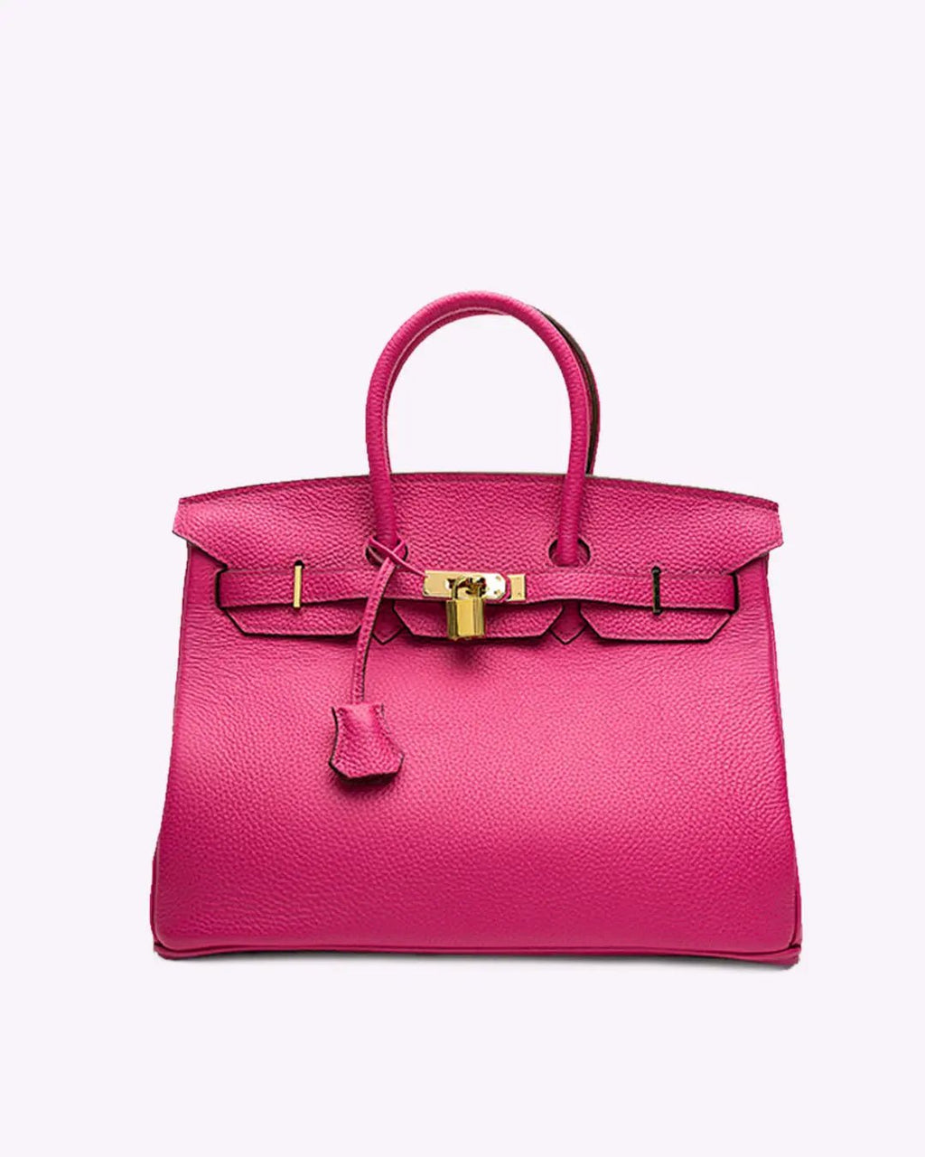 Genuine Leather Twist Lock Handbag with Gold Hardware and Pockets for Women