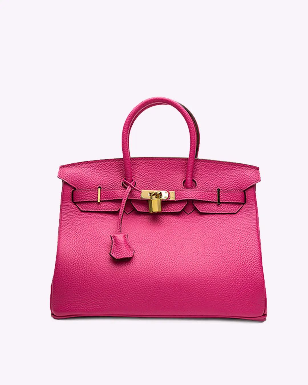 Genuine Leather Twist Lock Handbag with Gold Hardware and Pockets for Women