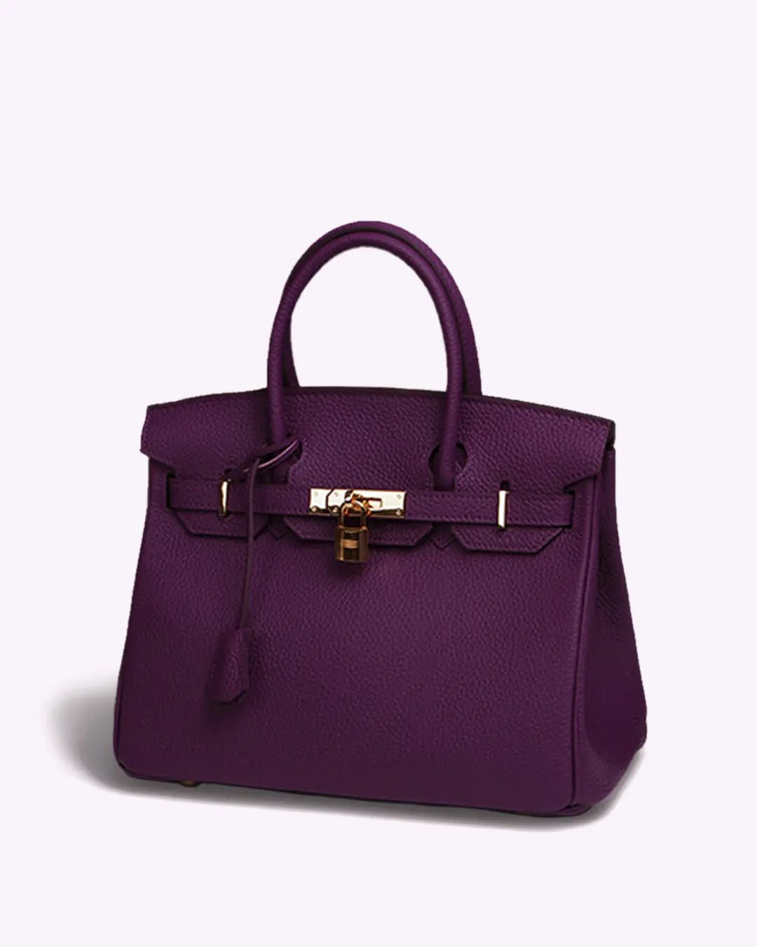 Genuine Leather Twist Lock Handbag with Gold Hardware and Pockets for Women