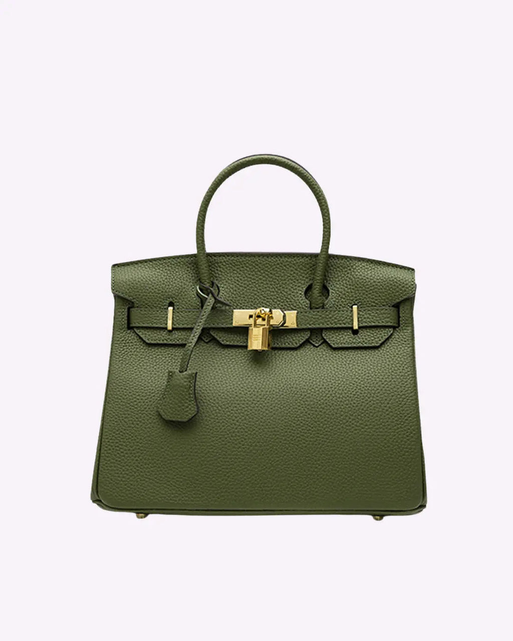 Genuine Leather Twist Lock Handbag with Gold Hardware and Pockets for Women