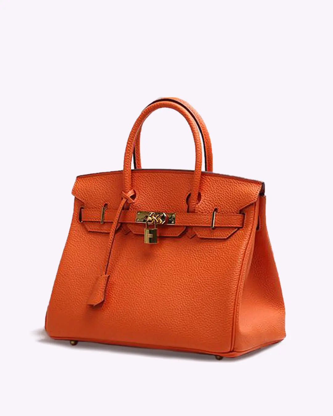 Genuine Leather Twist Lock Handbag with Gold Hardware and Pockets for Women