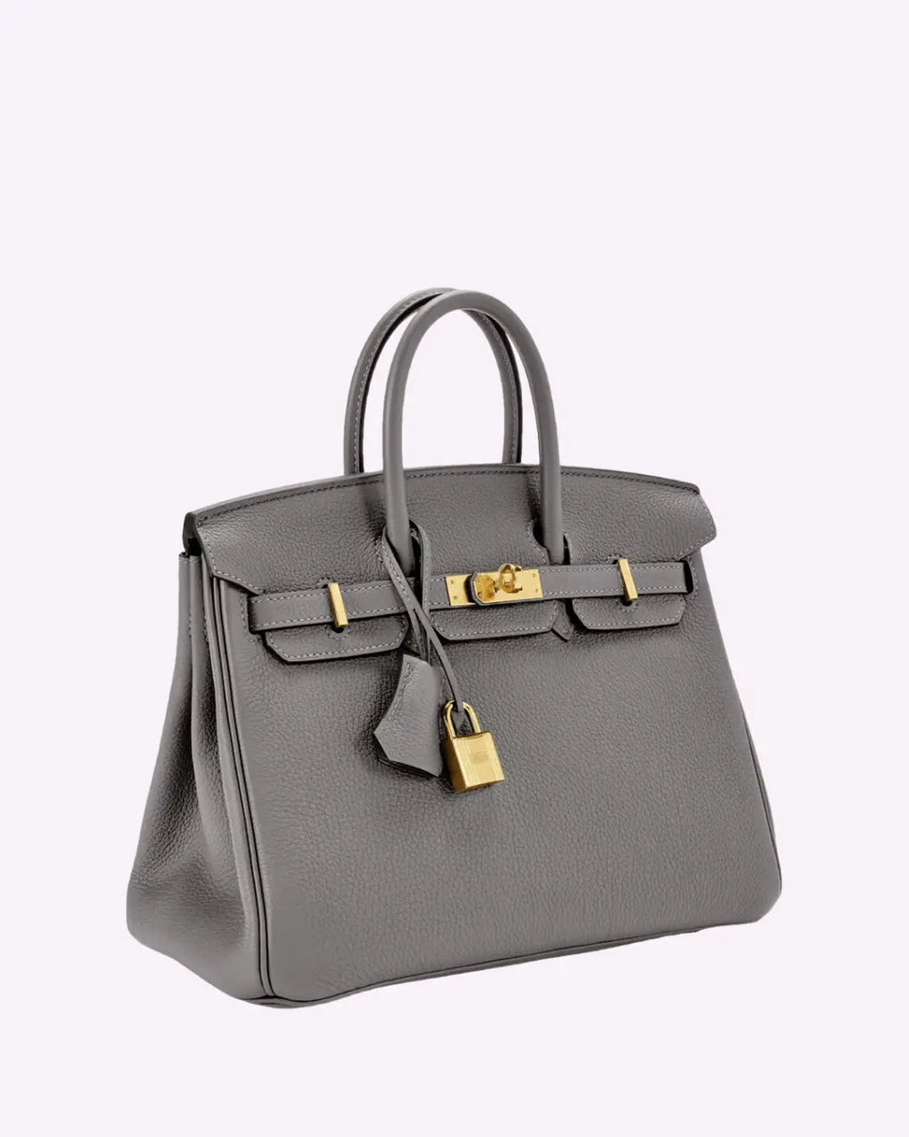 Genuine Leather Twist Lock Handbag with Gold Hardware and Pockets for Women
